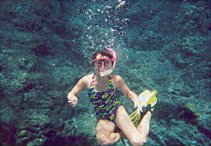 Snorkeling Adventures in BVI